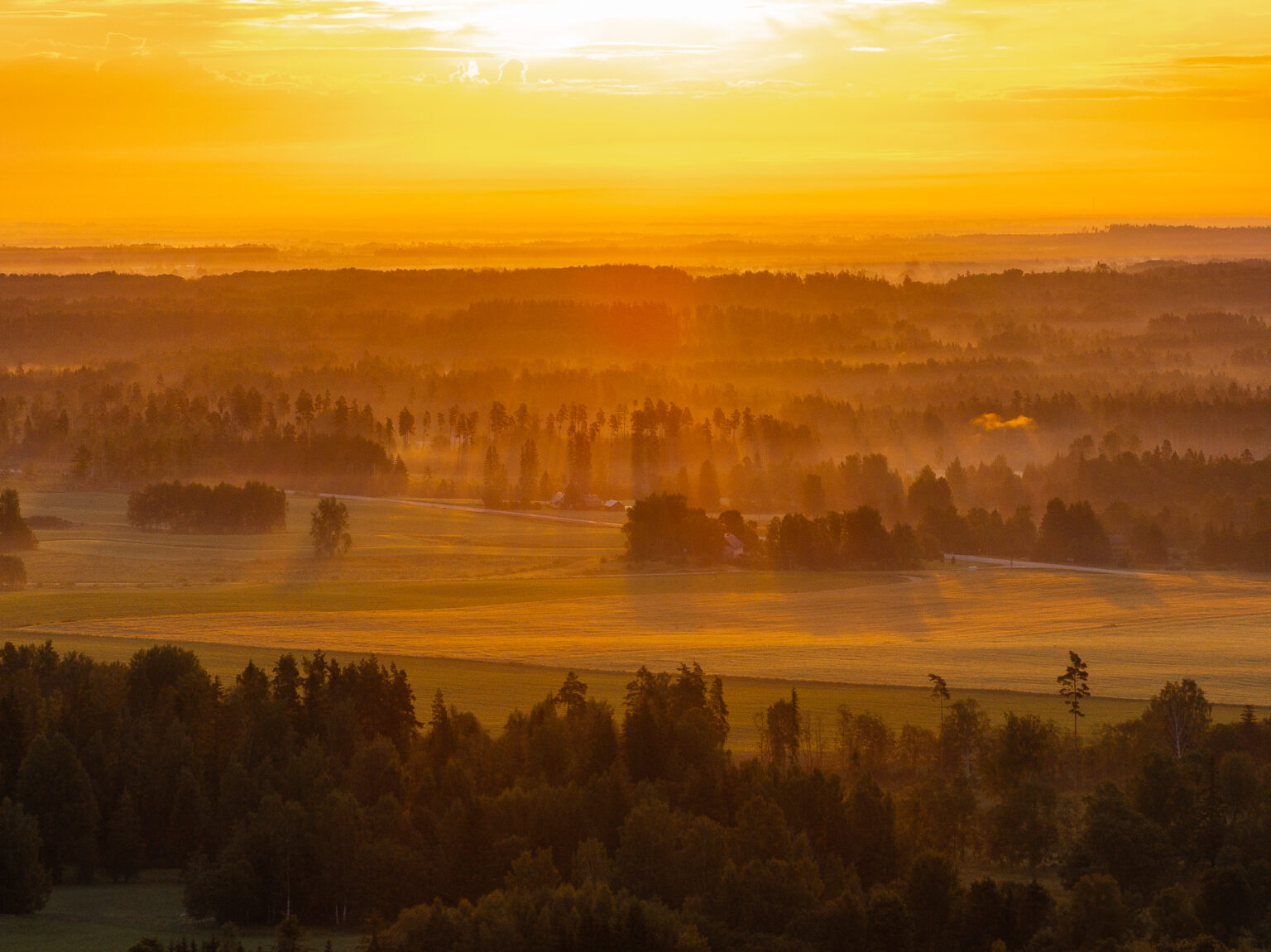 Hommikune päikesetõus droonilt, metsavahelt paistab uduloor.